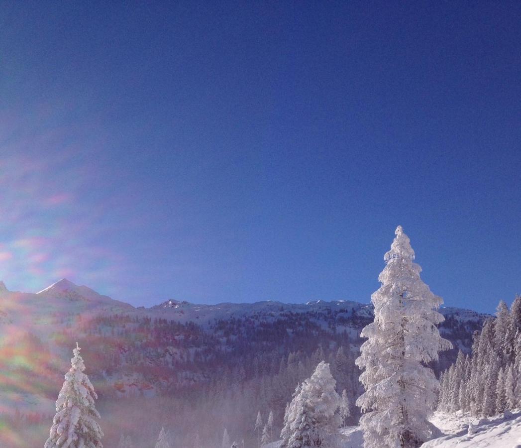 Chalet Happy Family, Secluded Location, 15 Min To Salzburg And Just Short To T Lakes Sound Of Music, Bbq&Bikes&Sunbeds For Free, Up To 14P غولنغ ان دير سالزا المظهر الخارجي الصورة